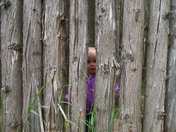 Hiding behind the Palisade