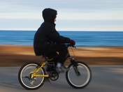 Riding on the beach trail