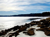 The Beauty Of Wildwood 