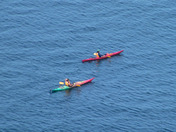 Whale Watching Kayakers at Middle Cove