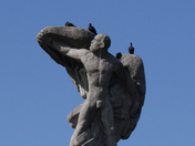 Bird man bothered by birds