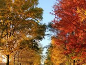 Scanlon Creek Conservation Area