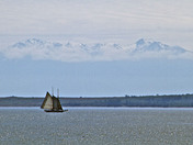 Pirates of the islands!