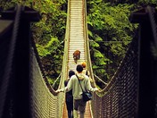 lynn canyon bridge.jpg