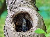 Sand Banks Provincial Park 028_picnik1.jpg