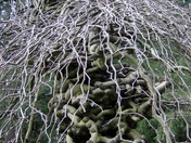 March Break in Victoria 088.jpg