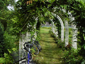 Bikes and Arbour
