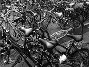 Bikes Galore