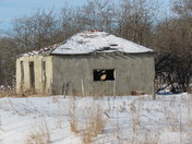 How much is that fox in the window...