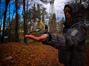 feeding bird 