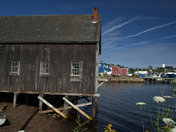 Lunenburg Harbour