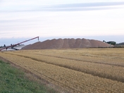 A pile of Wheat