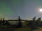 Northern Lights over Carvel, AB