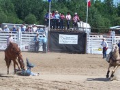 high in the air or flat on the ground?