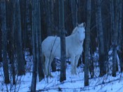 the kids at coleens 040.JPG