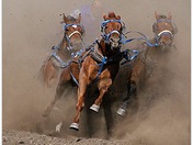 Internet Explorer Wallpaper.bmp