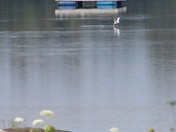 Take Off In The Still of The Waters