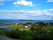 Carbonear Island