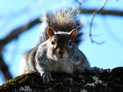 Are you talking to me??