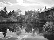 Autumn in NB 366.JPG