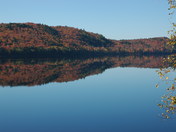Algonquin in Fall