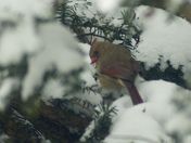 peeking at you peeking at me.jpg