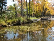 Burnt River in the Fall