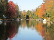 Burnt River Fall colours.jpg