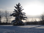 William Hawrelak Park - December 2009