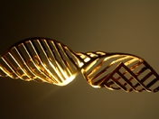 Golden Helix