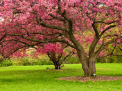 2009-05-11-RGB 122.jpg