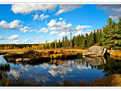 2008-10-10-Algonquin 025 .jpg