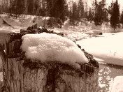 Pine Point, Whiteshell Prov Park, Manitoba