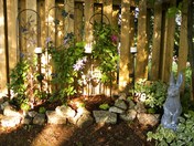 Beauty under the trees