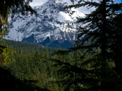 Peak, Alice Lake Provincial Park 