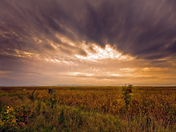 Brunswick Point, Ladner, BC