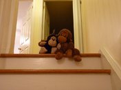 November 15, 2010 001.jpg