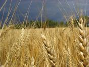 summer vacation 2008 205.jpg