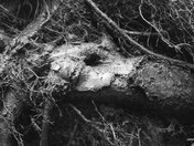 something we all have......