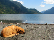 Buttle Lake in Strathcona Park, Vancouver Island