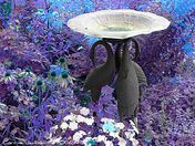 Bird bath garden 2008_edited-2.jpg