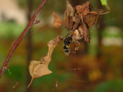 Oct 2011 upload various 960.JPG