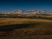 Neutral Hills Sunrise