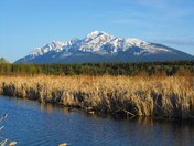 Canoe Mountain in British Columbia With Geese