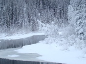 December 2009 006.JPG