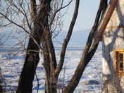 East coast winter.jpg