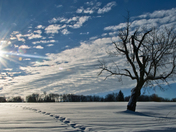 Where Are You Going?