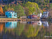 Newfoundland in Living Colour