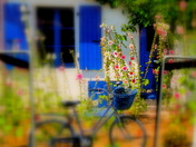 Bike in Frontyard