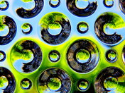 My Backyard...through bottom of candy dish.